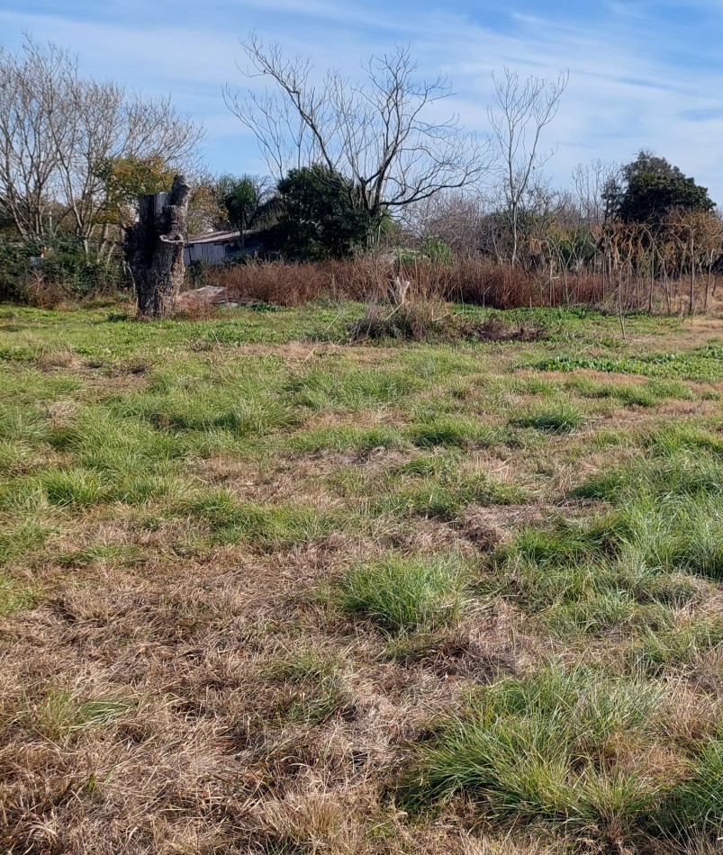 Terreno en Venta en Strobel