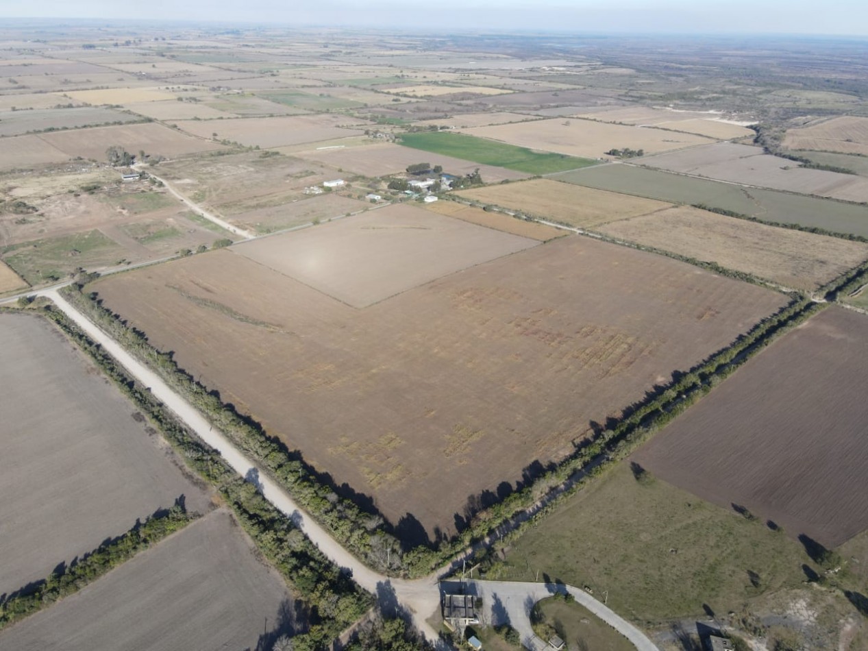CAMPO EN VENTA, AV. NESTOR KIRCHNER (DIAMANTE)