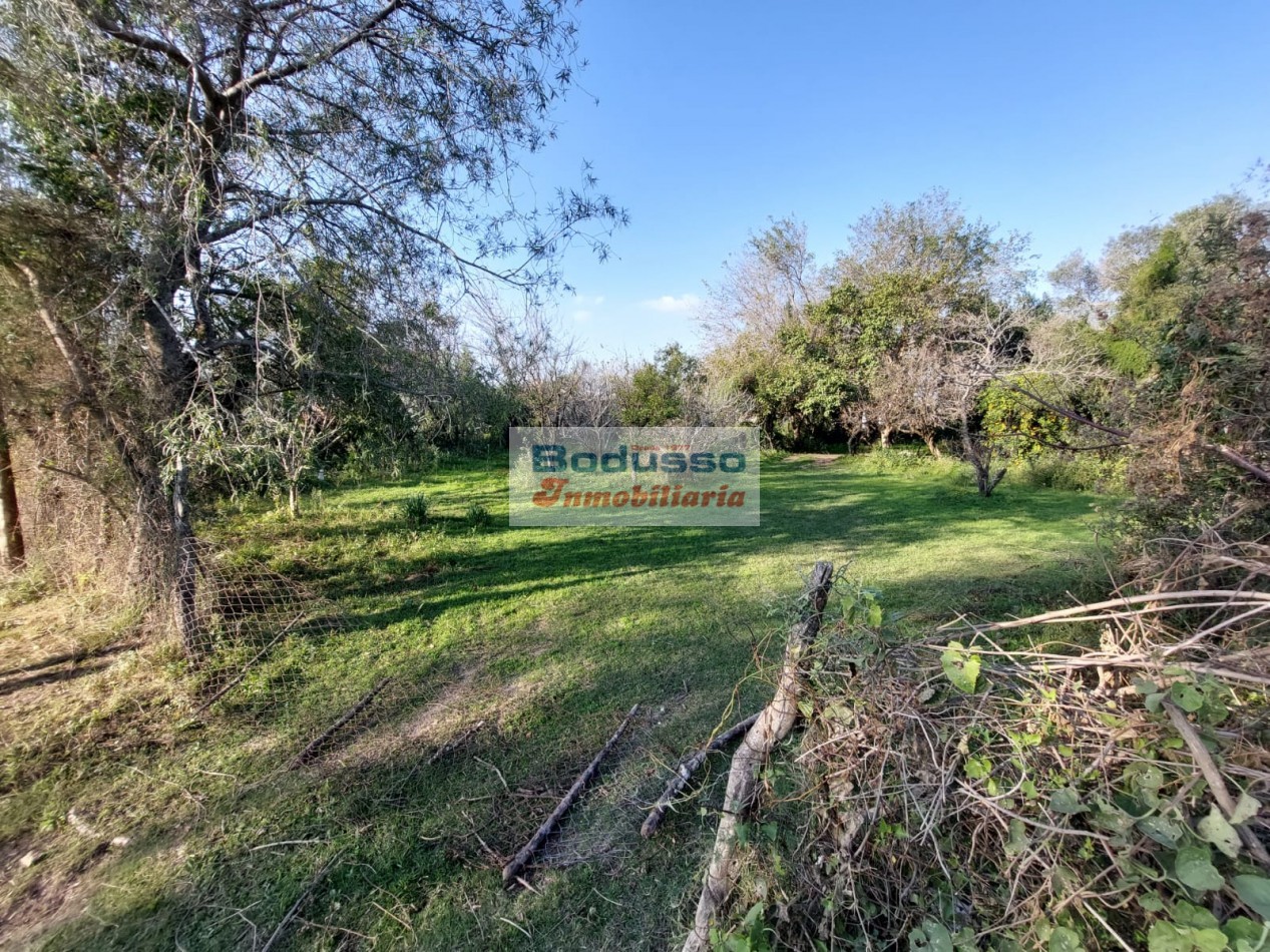 Terreno en Venta, Calle Mihura y Presidente Alfonsin