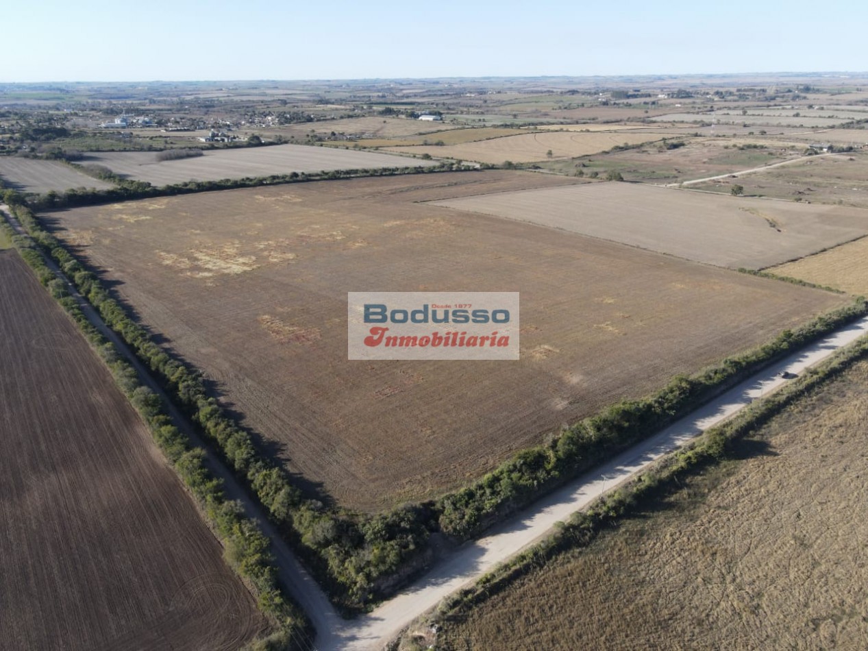CAMPO EN VENTA, AV. NESTOR KIRCHNER (DIAMANTE)