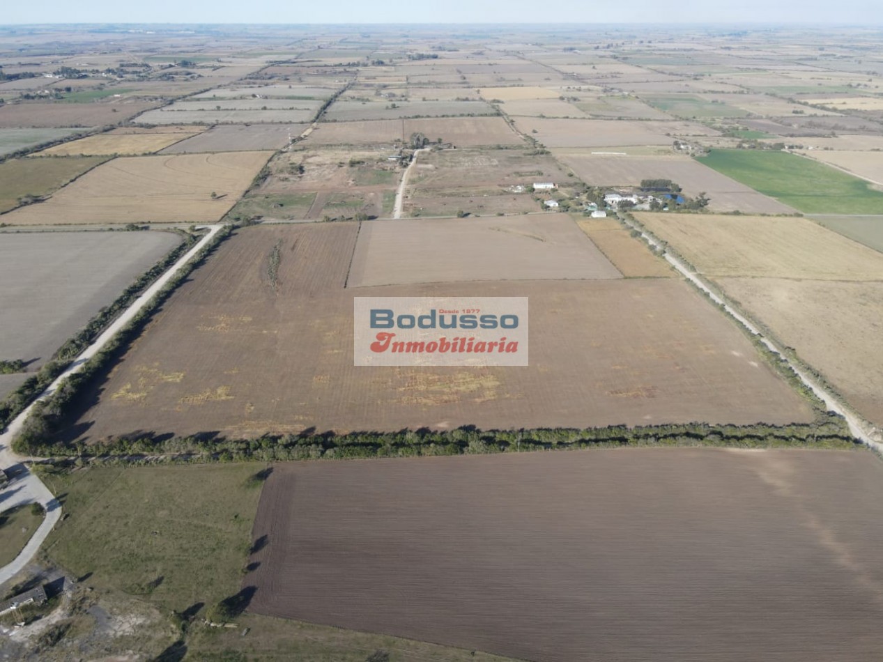 CAMPO EN VENTA, AV. NESTOR KIRCHNER (DIAMANTE)