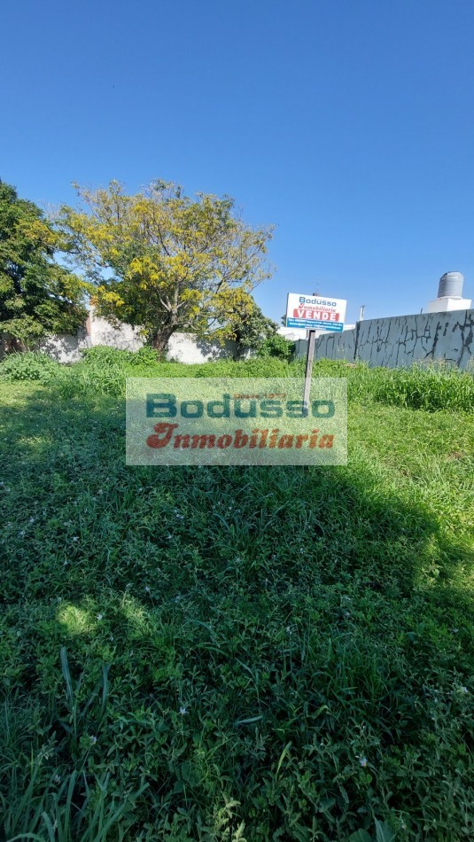 Terreno en venta calle Dr Materi
