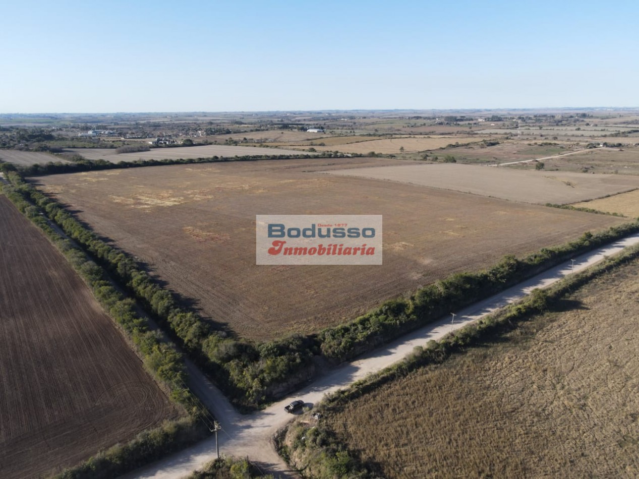 CAMPO EN VENTA, AV. NESTOR KIRCHNER (DIAMANTE)