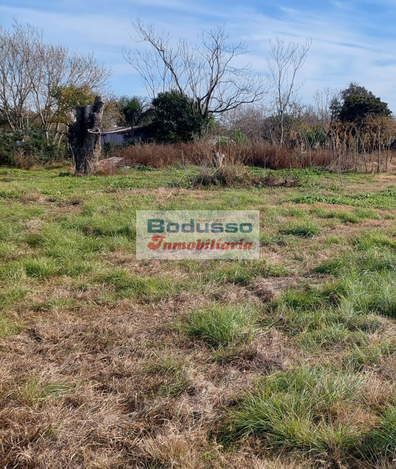 Terreno en Venta en Strobel