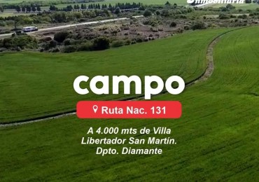 CAMPO AGRICOLA EN VENTA. SOBRE RUTA NACIONAL 131. DIAMANTE
