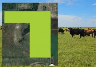 CAMPO GANADERO EN VENTA. PARAJE LAS MASITAS. DEPARTAMENTO DIAMANTE