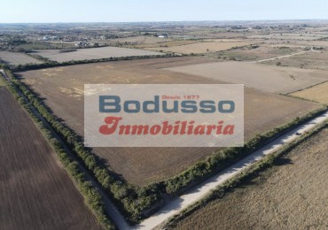 CAMPO EN VENTA, AV. NESTOR KIRCHNER (DIAMANTE)
